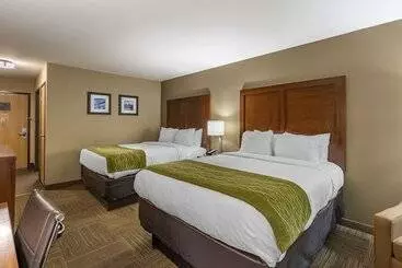 ホテル Comfort Inn Collinsville Near St. Louis