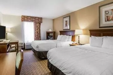 Hotel Quality Inn & Suites