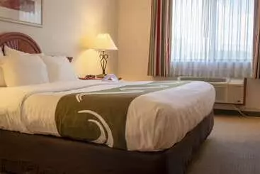 Отель Quality Inn Delta Gateway To Rocky Mountains