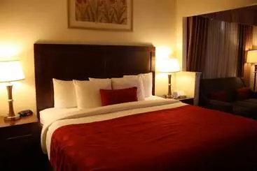 Отель Ramada By Wyndham Denver International Airport