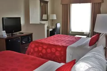 ホテル Ramada By Wyndham Denver International Airport
