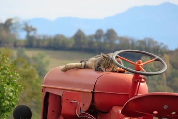 פנסיון Maison D'hôtes Marimpoey