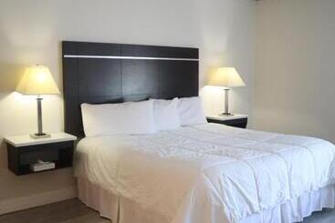 Motel The Shore Club