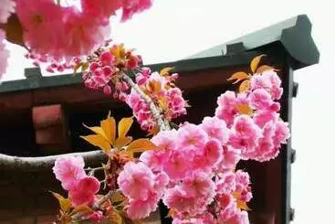 هتل Railway 1896 Garden