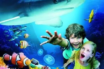 Grand Pacific Palisades Resort