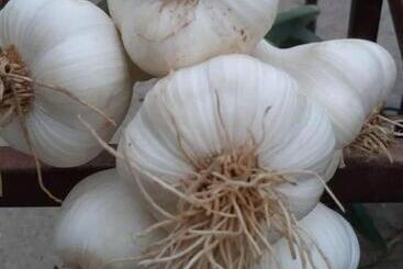 Pensão Cascina Pontetto