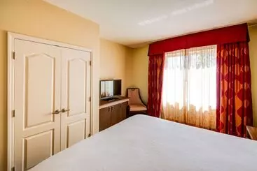 هتل Hilton Garden Inn Tampa Ybor Historic District