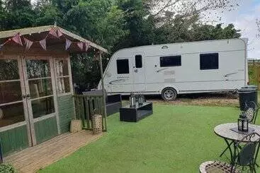 Hotel Glamping With Llamas