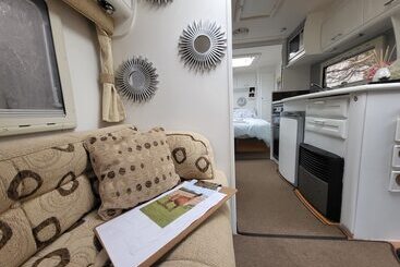 Hotel Glamping With Llamas