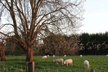 קוטג'' The Dairy At High House