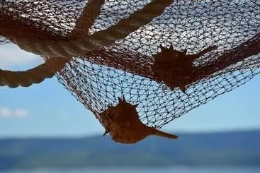 ツーリストアパートメント Apartments Bluesun