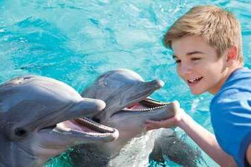 ホテル Holiday Inn Express San Diego   Sea World Area, An Ihg