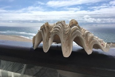 آپارتمانهای توریستها Salty House Casa Salgada