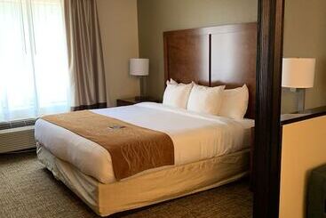 Otel Comfort Inn Franklin Highway 96