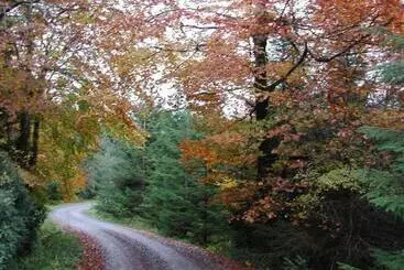 Pensió Clancys Of Glenfarne