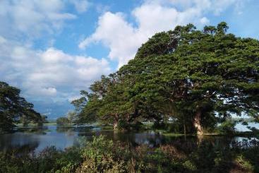 Pensão Tissa Rainbow Guest & Yala