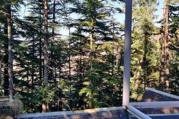 Shimla British Resort