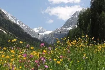 Hotel Pension Winnebach