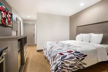 Hotel Red Roof Inn Sulphur