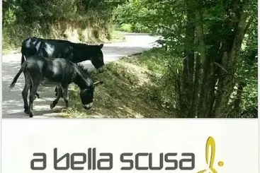 Aamiaismajoitus (B&B) A Bella Scusa