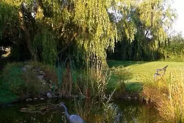 ホテル Garni Morsum