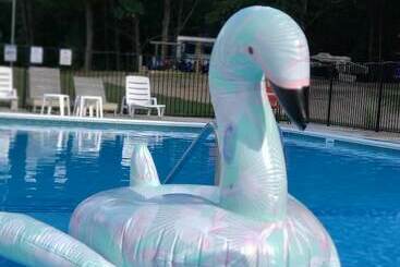 호텔 Pere Marquette River Koa Campground