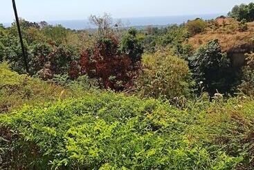 דירות לתיירים Vila Bukit Sari