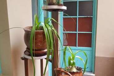 پانسیون Hospedaje Milenio   Hostel