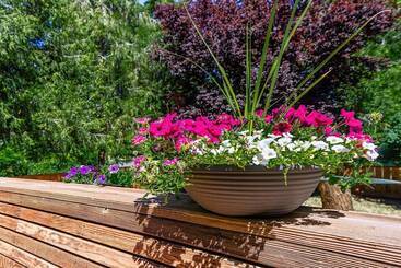 بيت ريفى Madi S Place ~ Guest House