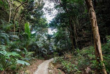 Hotel Rich Lison Ishigaki