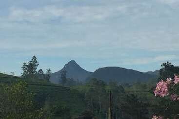 Bed and Breakfast Yoho Jai Bangalow