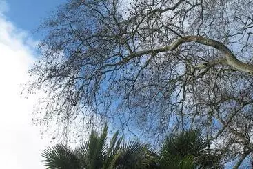 ペンション Villa Dampierre