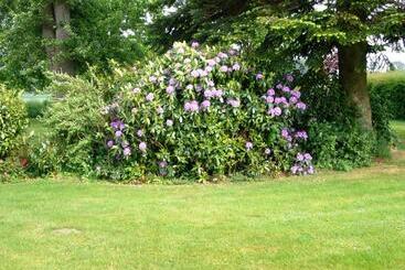 游客公寓 Spacious Apartment In Leopoldshöhe Near Teutoburg Forest