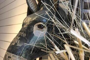 Ferienwohnungen Le Refuge De L âne Carotte Aubagne Cassis Aix En Provence