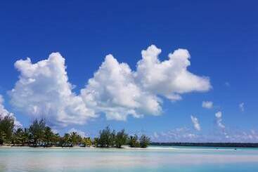 בית מלון כפרי Ranginui's Retreat