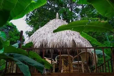 ユースホステル Tayrona Paradise
