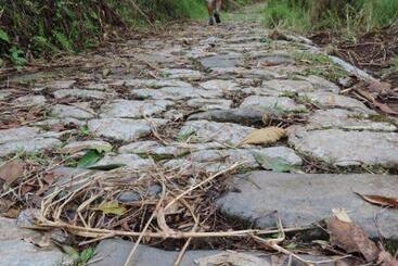 בית מלון כפרי Boutique Quinta Tibigaro