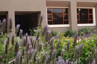 بنسيون Ein Gedi Premier Lodge