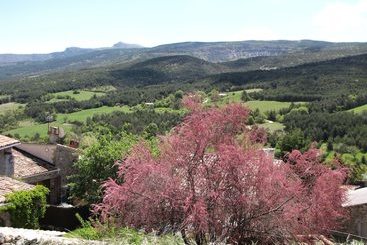 Bed and Breakfast La Chambre Du Cladan