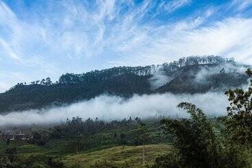 Hotel Villa Serenity