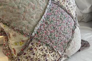 Aamiaismajoitus (B&B) Dunedin Country House