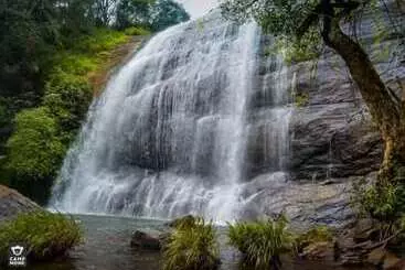 Jungle Mount Adventure Camp   Hostel