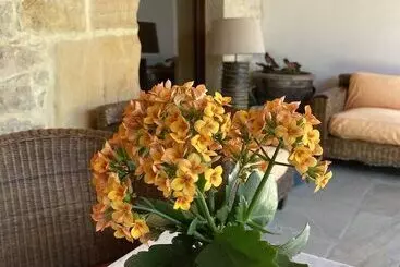 호텔 Posada La Casona De Los Güelitos