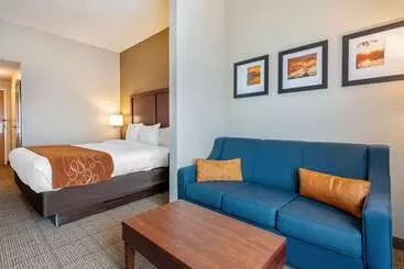 هتل Comfort Suites Downtown