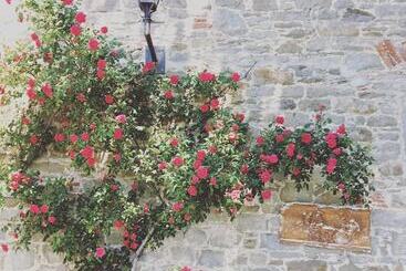 בית מלון כפרי Agriturismo La Casina Della Burraia