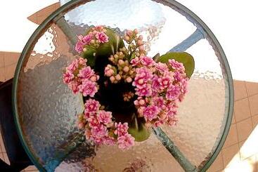 Bed and Breakfast Be Inn