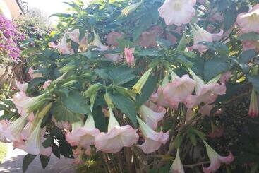 צימר Cusanarella Mia