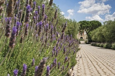 Отель Relais Il Santissimo