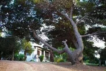 Bed and Breakfast Villa Panoramica Sul Mare