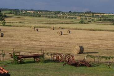 בית מלון כפרי Agriturismo Il Grillo Parlante